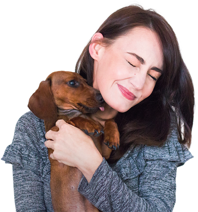 Wondering 'how old is my dog in human years?