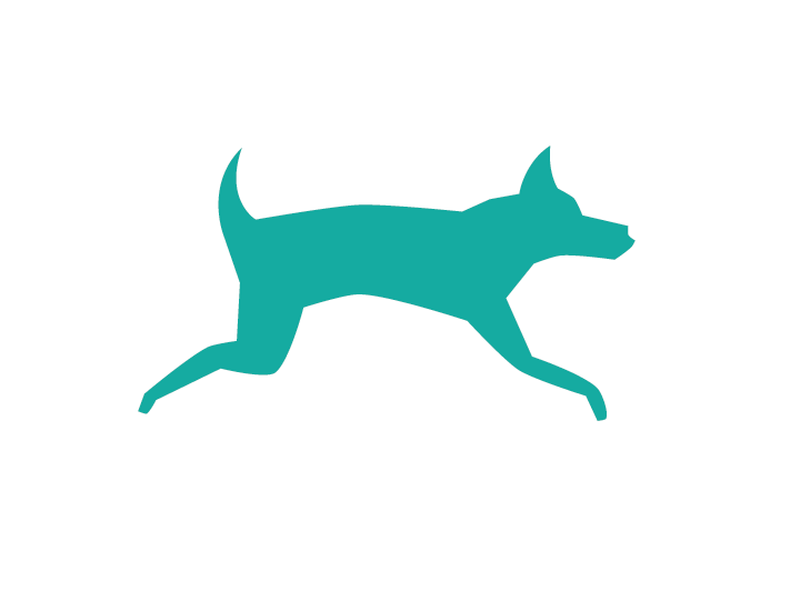 dog age calculator icon